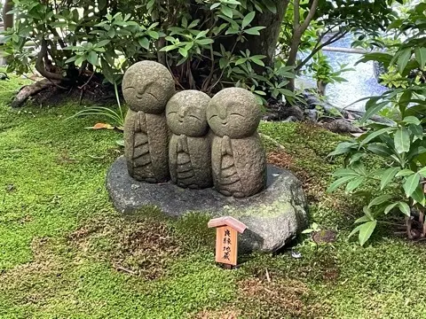 リアルタイムでお伝えする、鎌倉長谷寺あじの画像_2