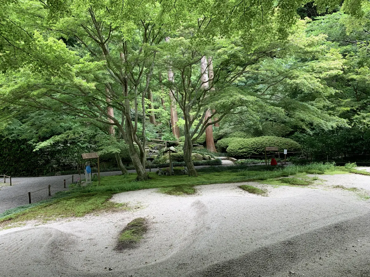 特別公開中の明月院の庭園