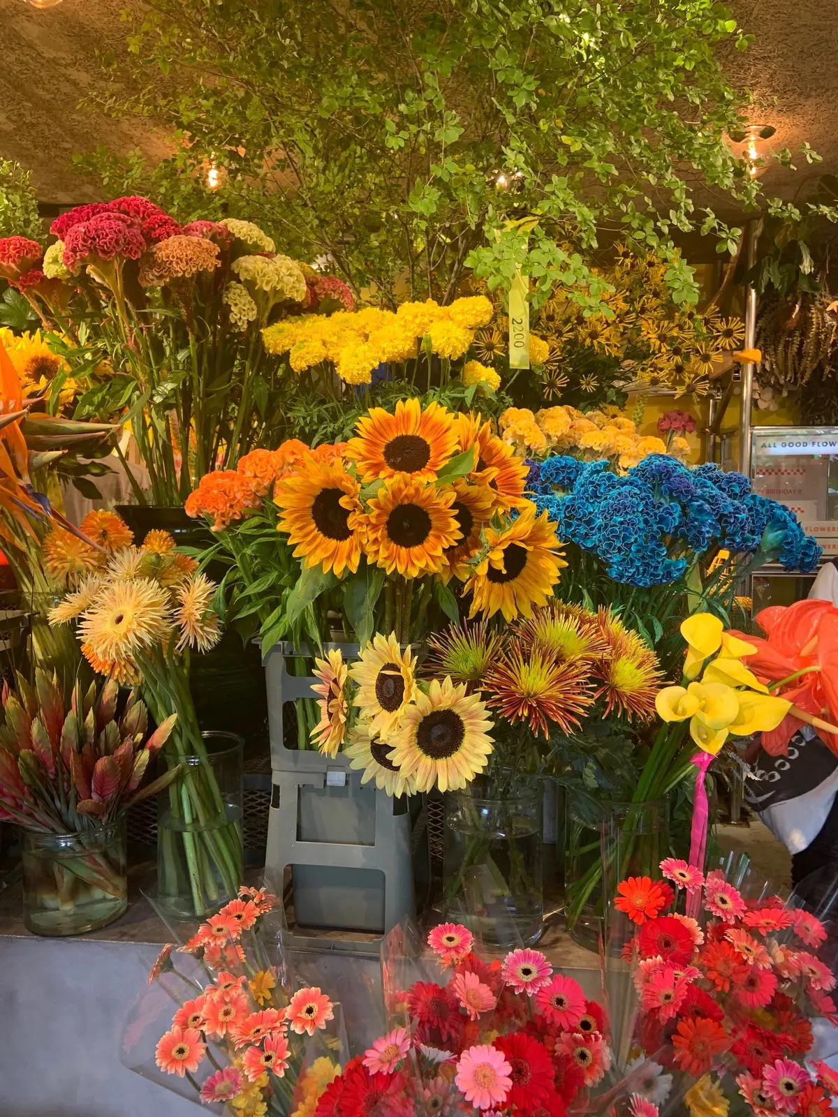 大人も楽しい空間の画像_3