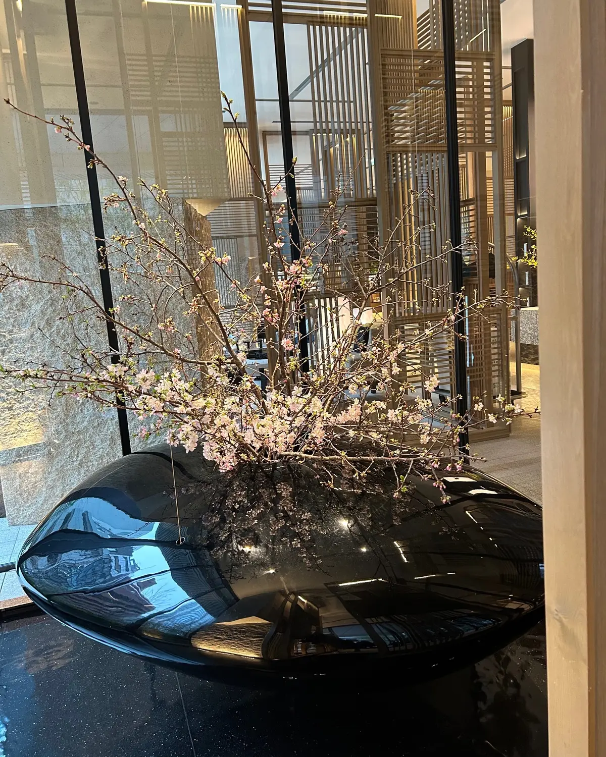 Jマダム2年目スタートを祝うランチ会 @の画像_13