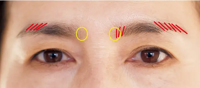 【豊田さんの眉設計図】