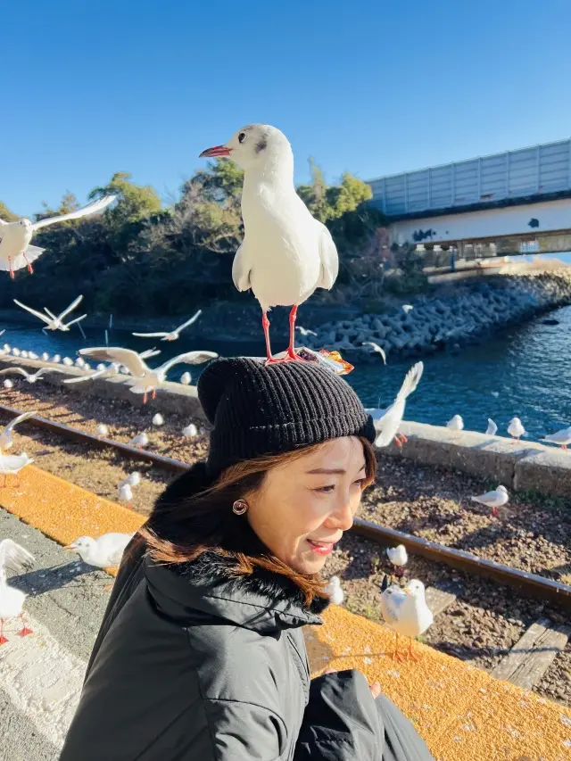 浜松市周辺散策の画像_18