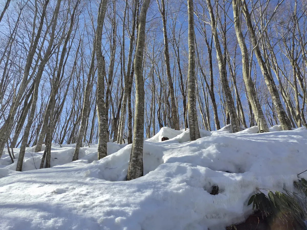 一度は行ってみたい温泉　　乳頭温泉郷へのの画像_15
