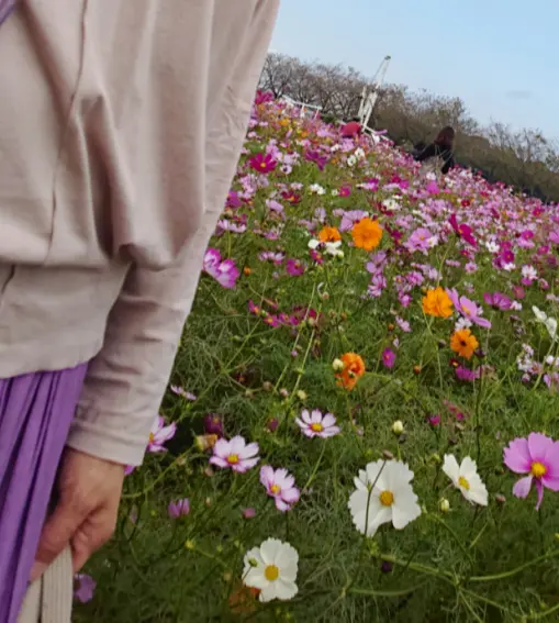 風車とコスモスとパープルスカートのコーデの画像_7