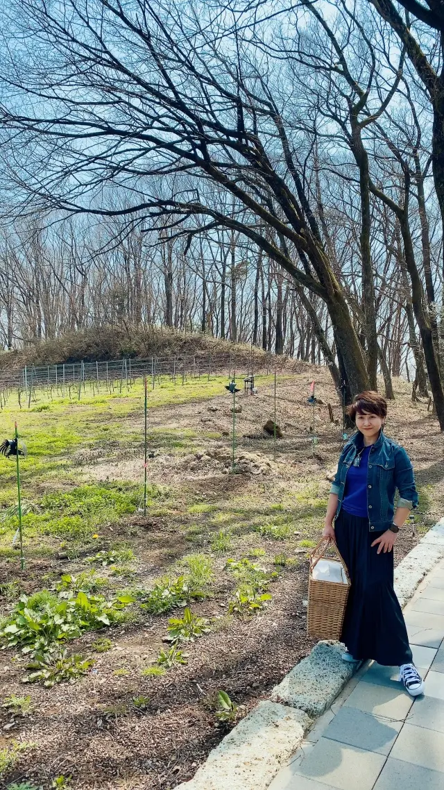 drive日帰りtrip ☆ いざ那須への画像_1