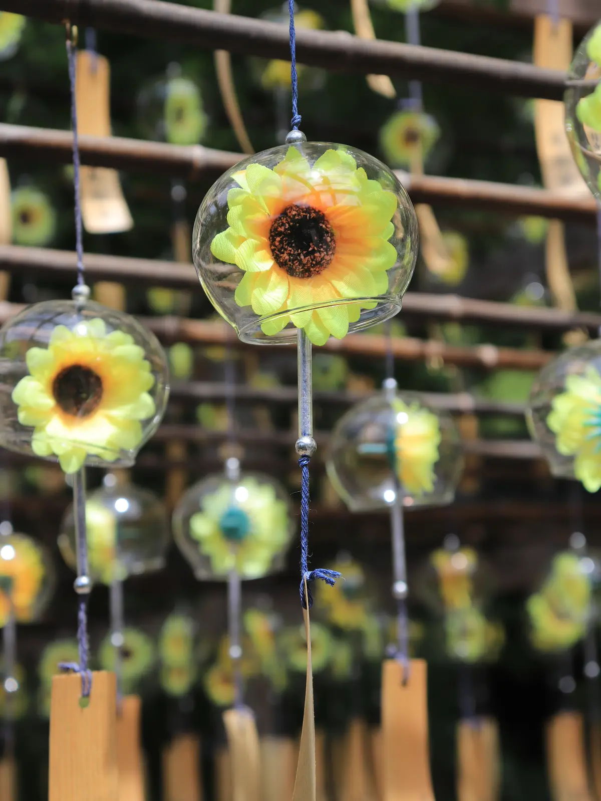 正寿院  風鈴まつり  風鈴寺　ひまわり風鈴　京都