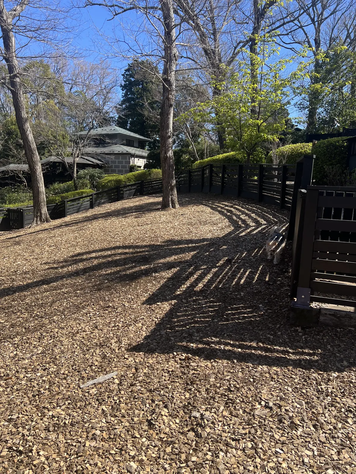 小型犬には十分な広さのドッグラン！