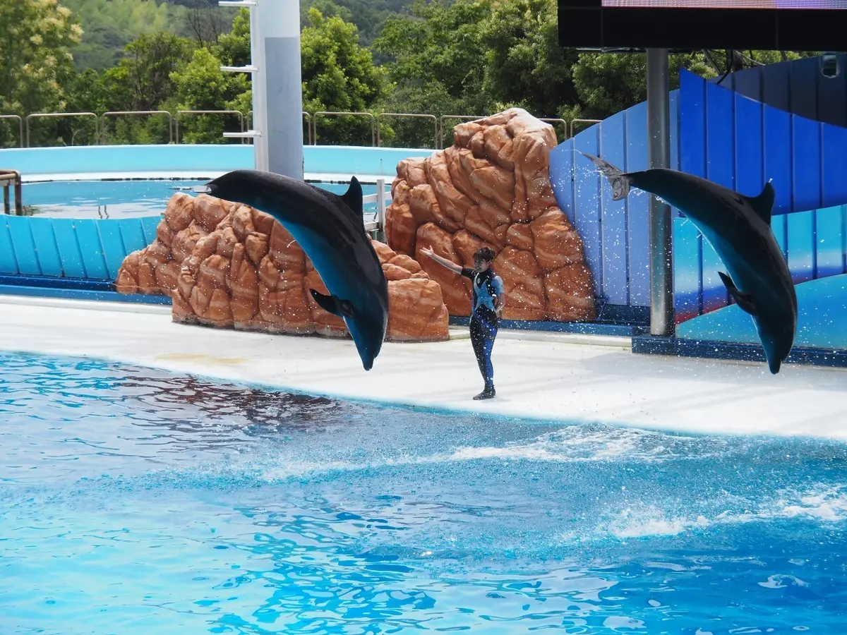初めての和歌山県!!紀南方面へ2人旅♡～の画像_9