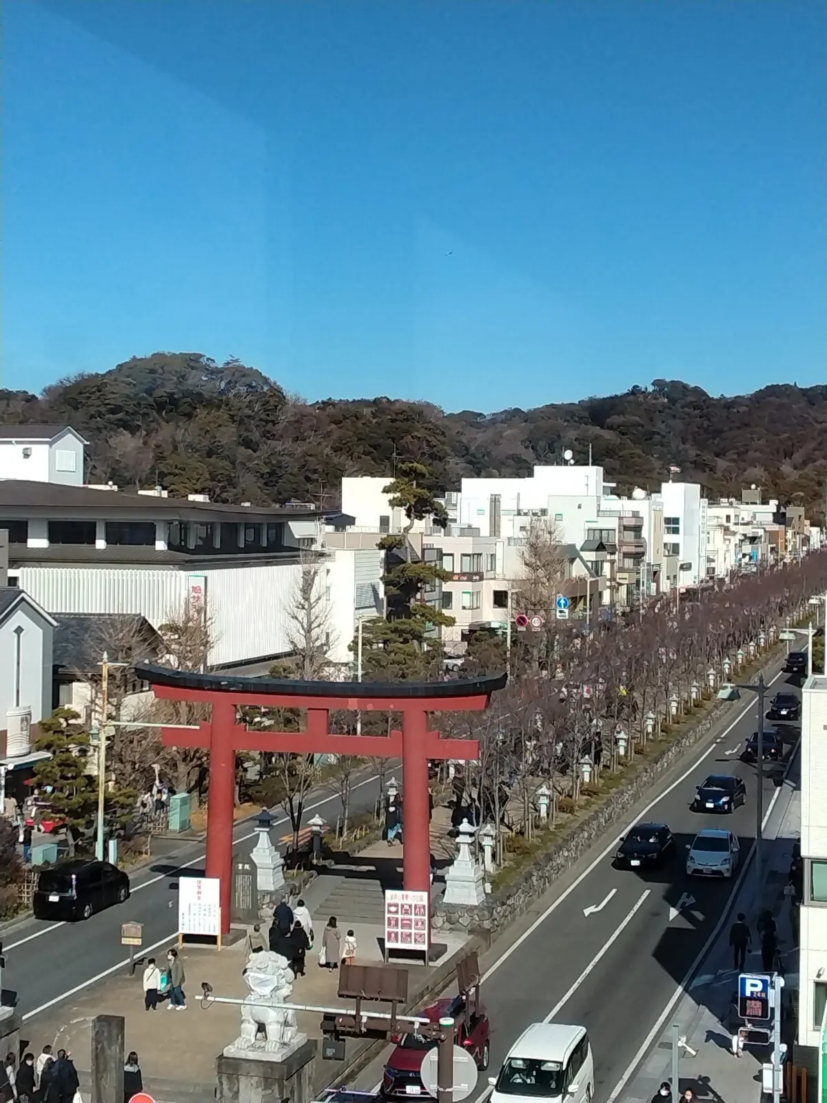 部屋からの眺め