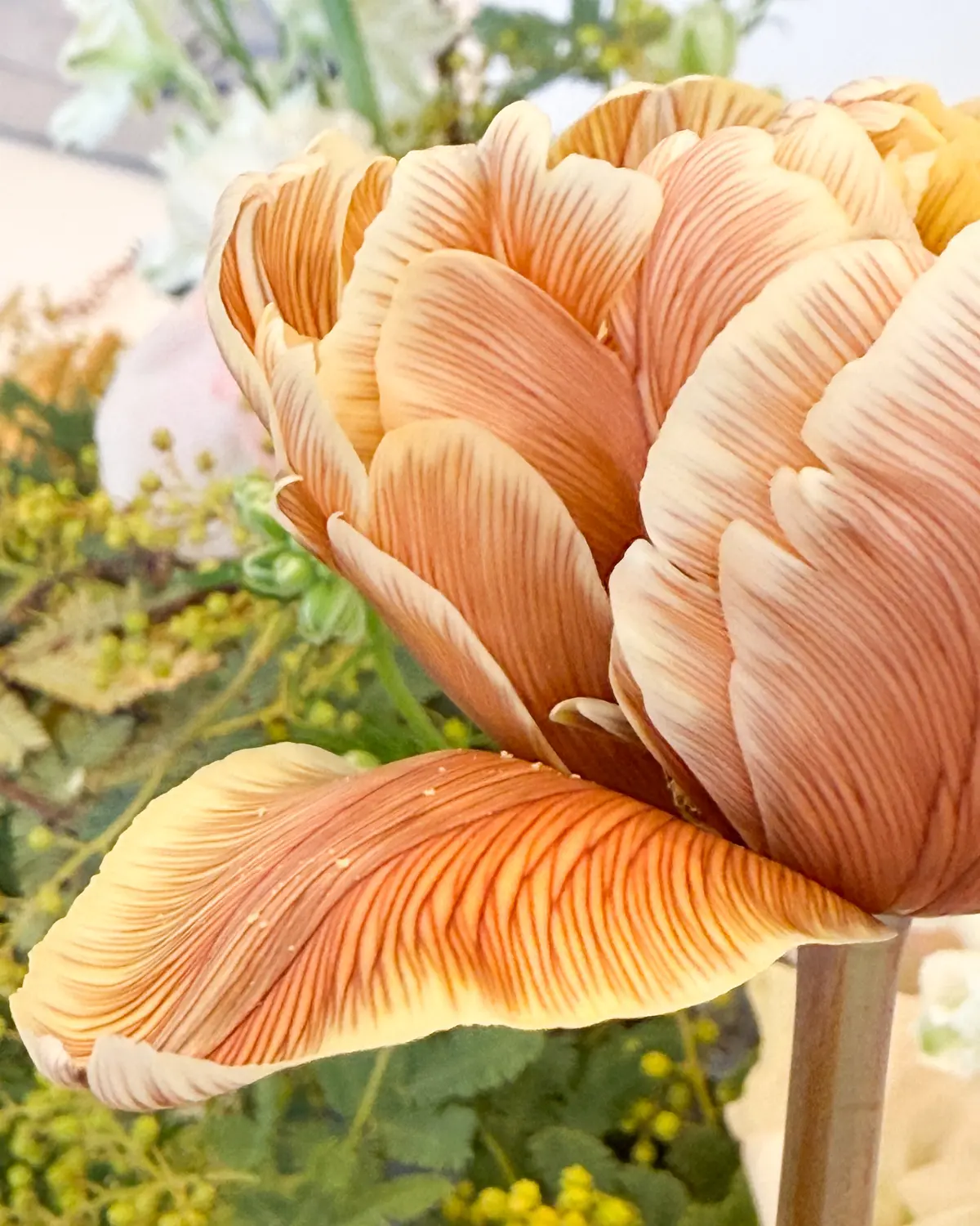 アラフィーだからこそ楽しい、大人の学びの画像_3