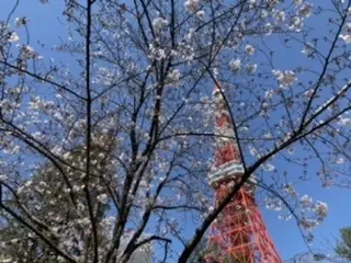 クラッシックスニーカーで、御近所ランチの画像_4