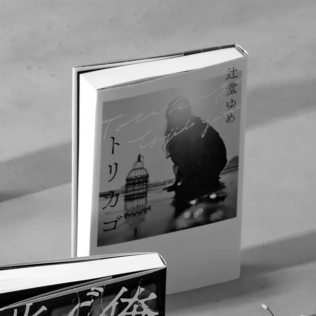 『トリカゴ』 辻堂ゆめ　東京創元社　￥1,980