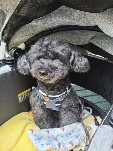 森のカフェへの画像_4