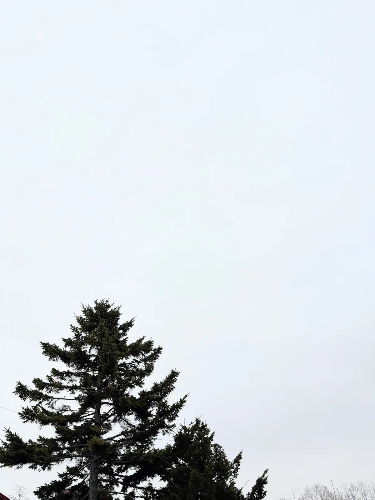 北海道母子旅3日目・陶芸ガラス細工体験の画像_12