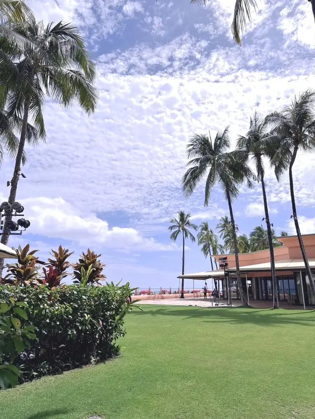 【HAWAII 】ハワイでの美活♡やはりの画像_8