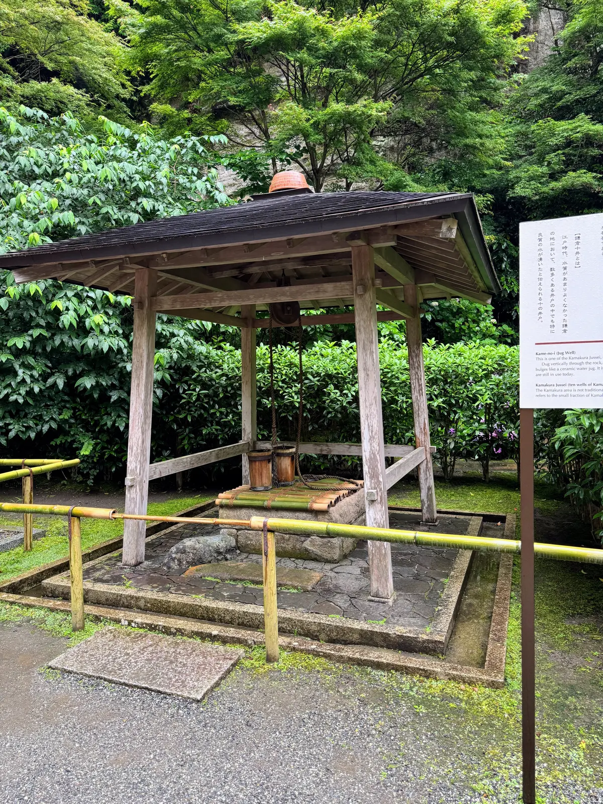 紫陽花の季節、自分で仕立てたお着物で古都の画像_6