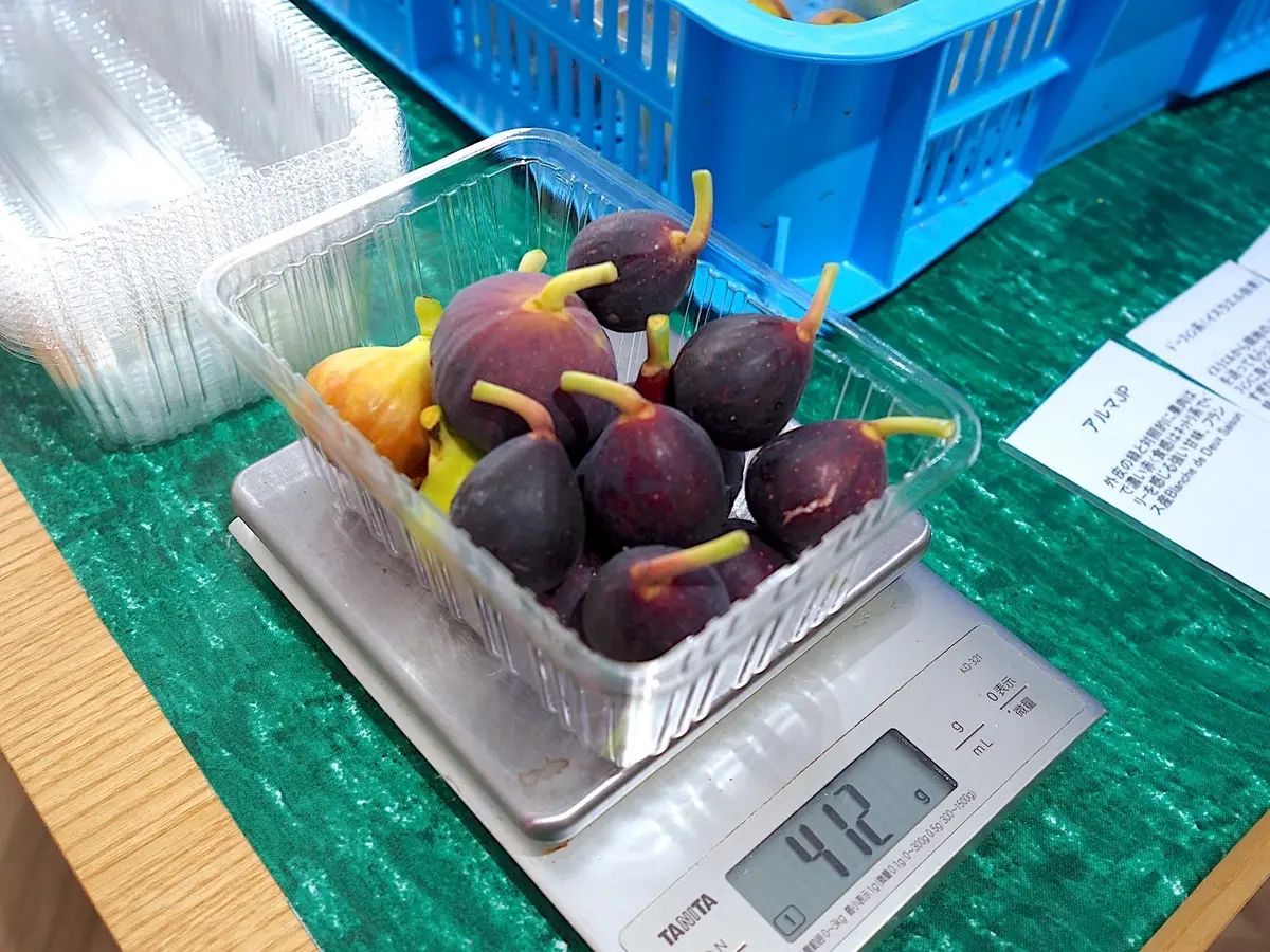 無花果（イチジク）