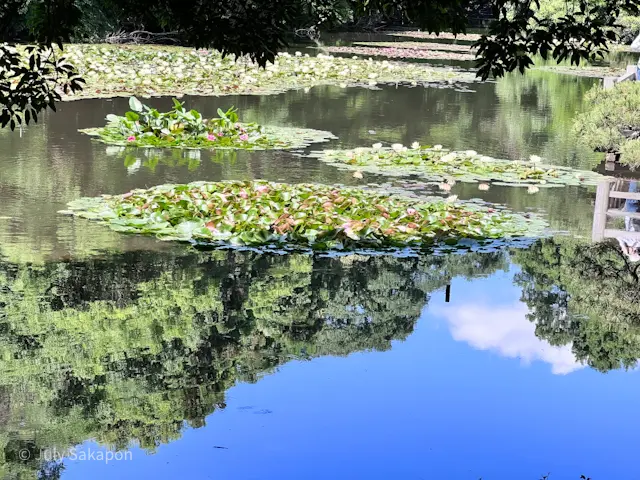 【さかぽんの冒険】まさか☆モネの絵画のよの画像_7