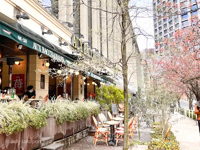 【さかぽんの冒険】建築探訪『奇跡の一本松の画像_2