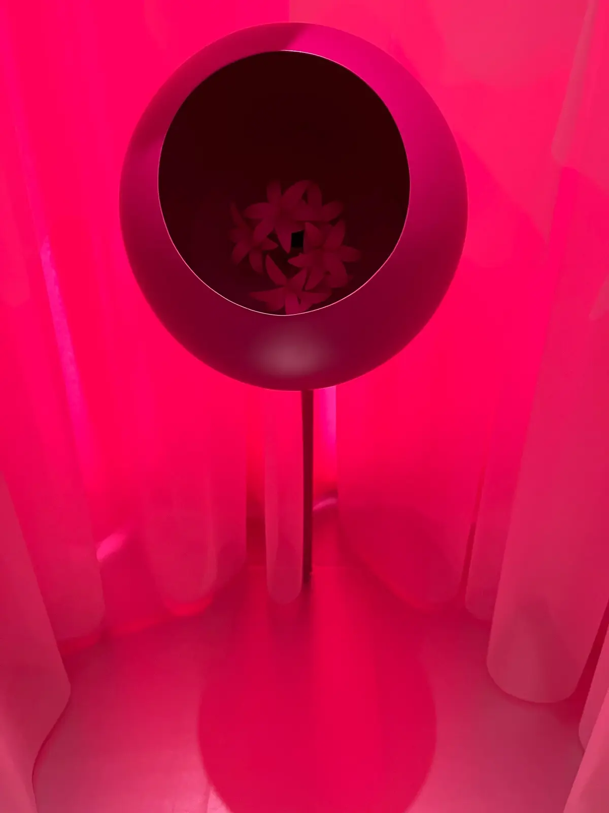 【人気イベント】リピート出来るようになっの画像_4