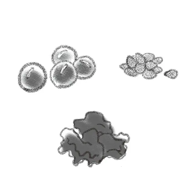 黒い食材（黒豆、黒ごま、黒きくらげなど）