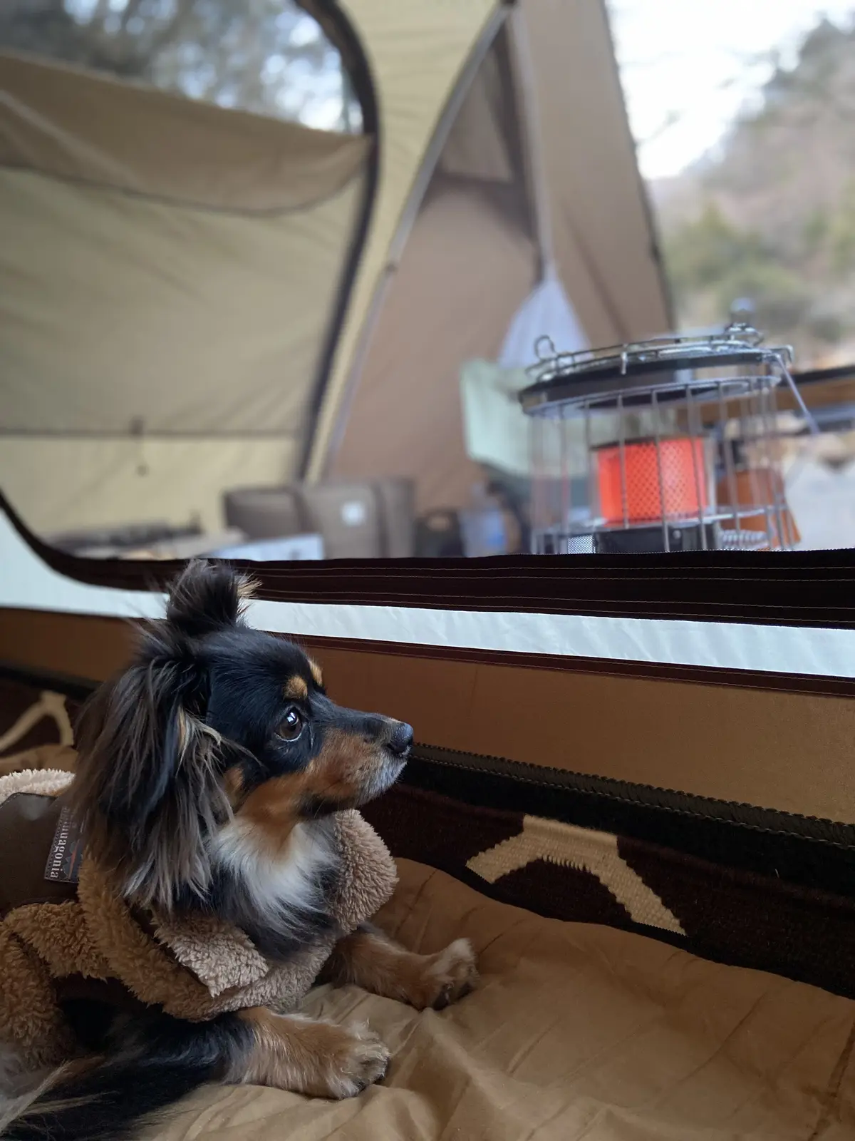 冬のキャンプメニュー❗️の画像_4