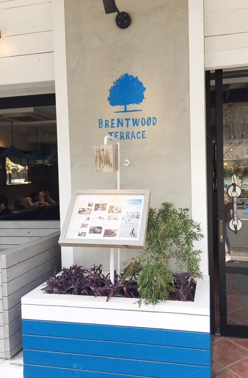 お散歩スタイルの画像_1