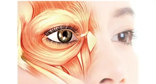 目もと印象に革命を！40代・50代が投資の画像_3