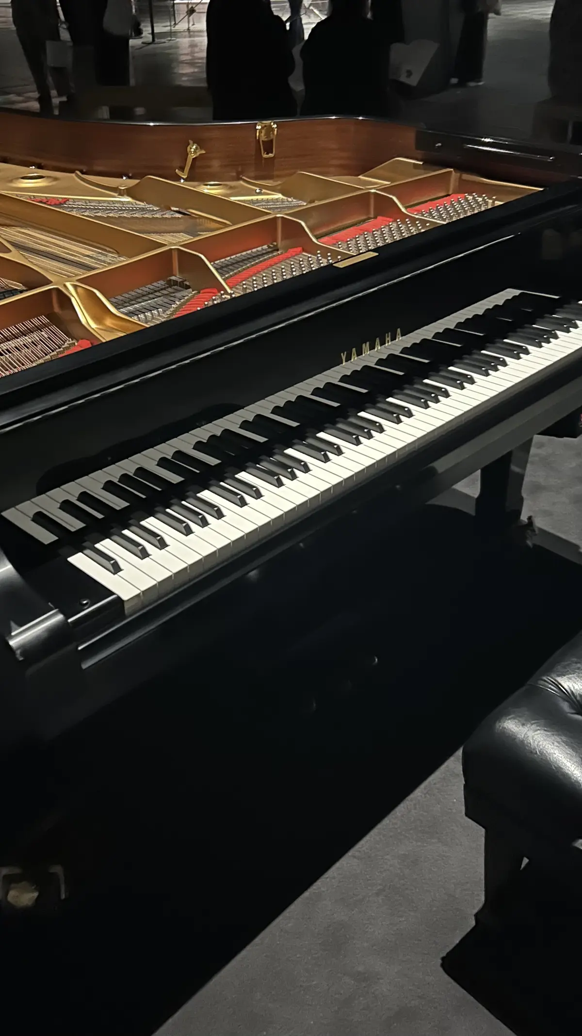 音楽の巨匠　坂本龍一企画展へ🎹✨の画像_5