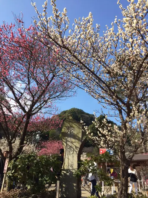 ドライブ♪の画像_5