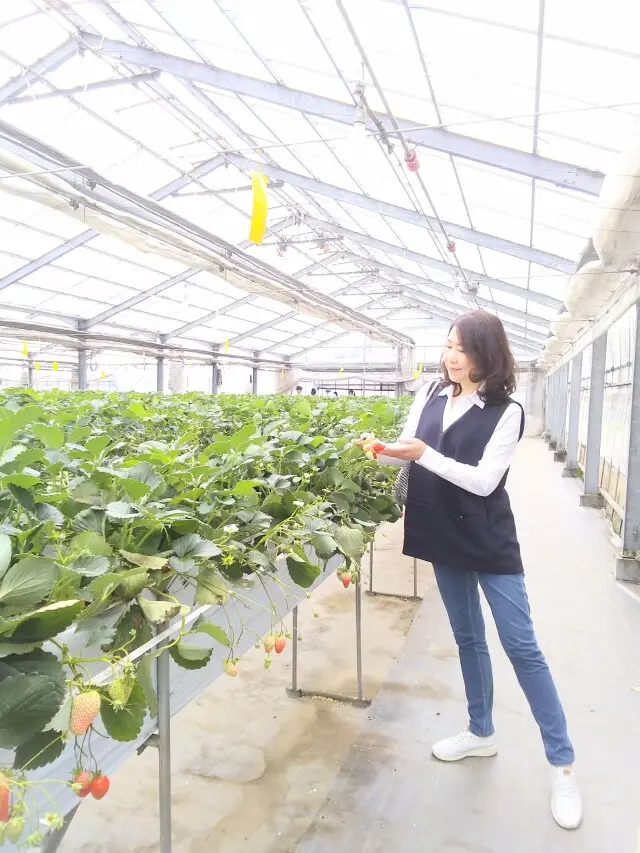 大人も嬉しい♪いちごがり＆ティータイムの画像_4