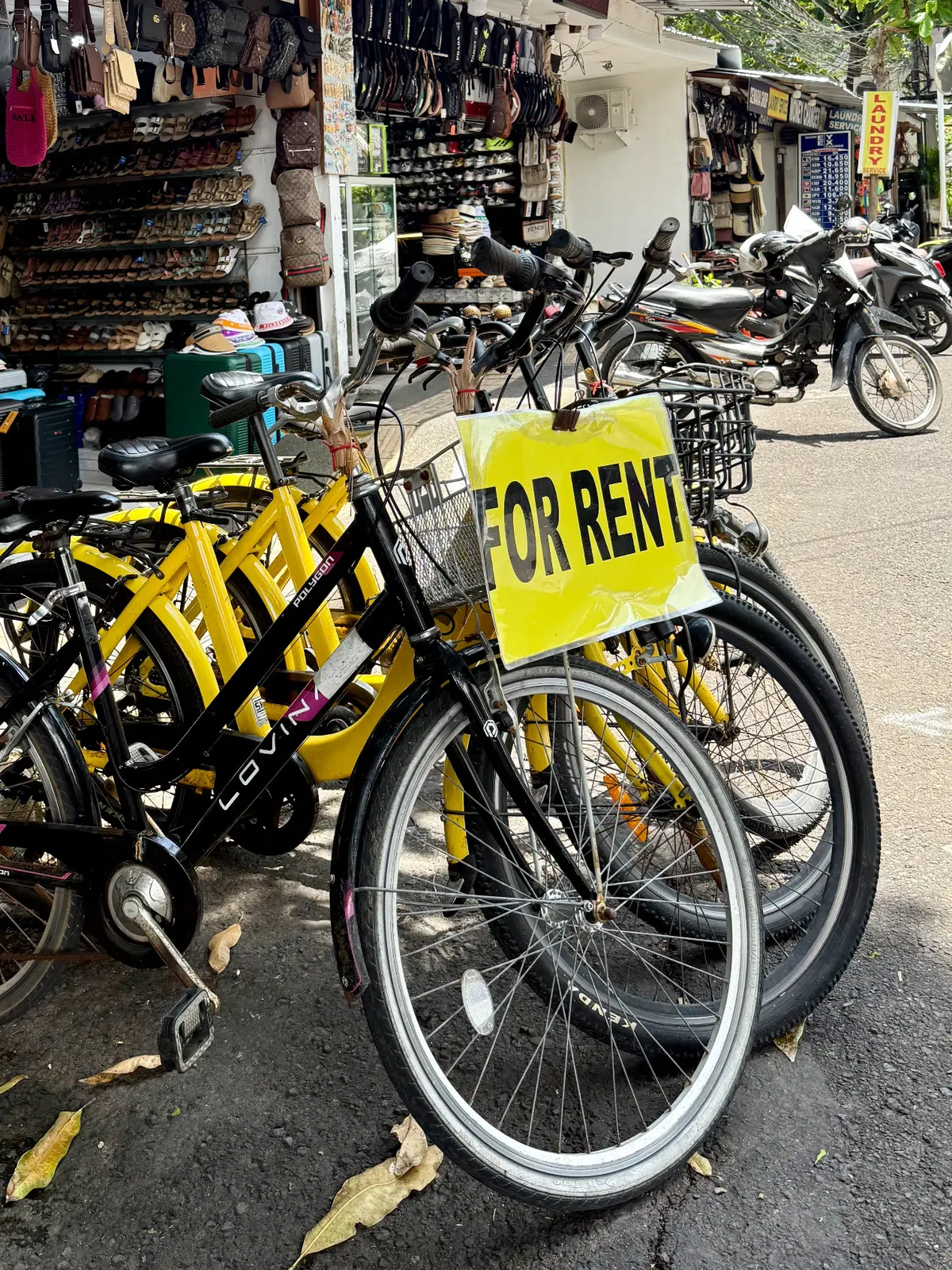 50代夫婦旅行　BALI 　バリ島　サヌール　レンタル自転車