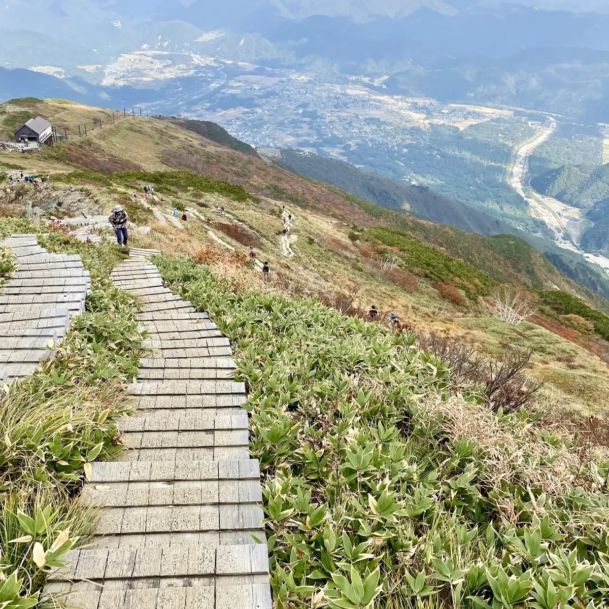 長野県白馬にある八方尾根トレッキング道