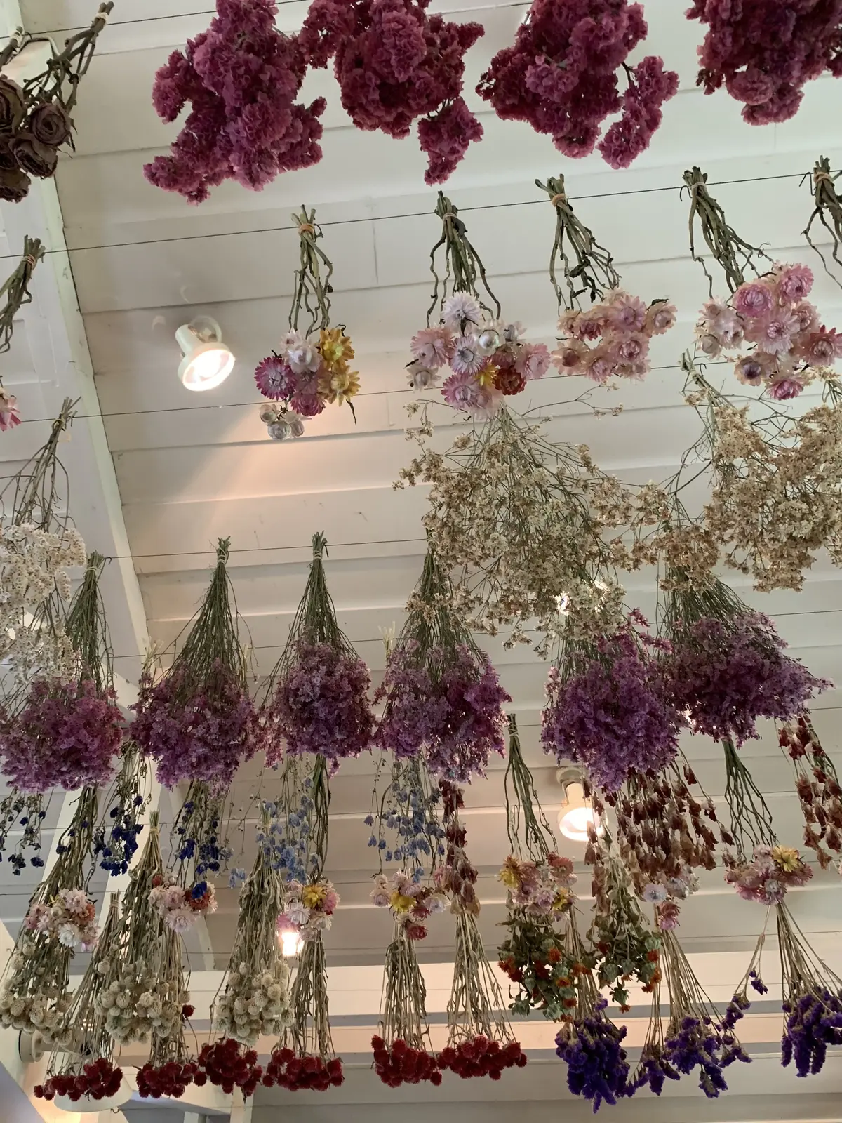 ペーパームーン山中湖　ケーキ　ドライフラワー　天井