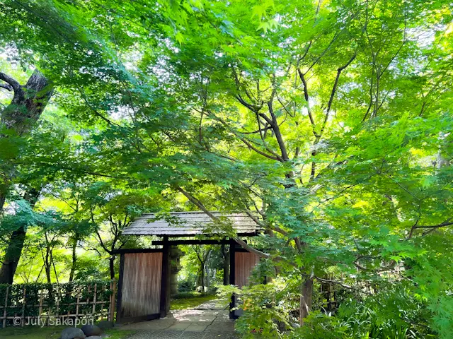 ☆PRADA★pop upに行ってみた@の画像_17