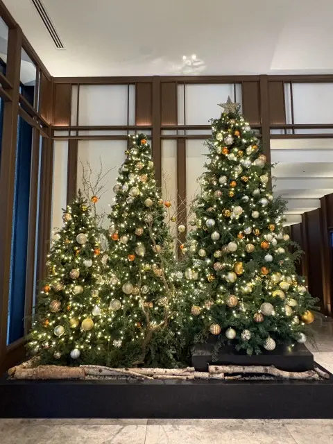 一年の締めくくりに、ウォルドーフ・アストの画像_3