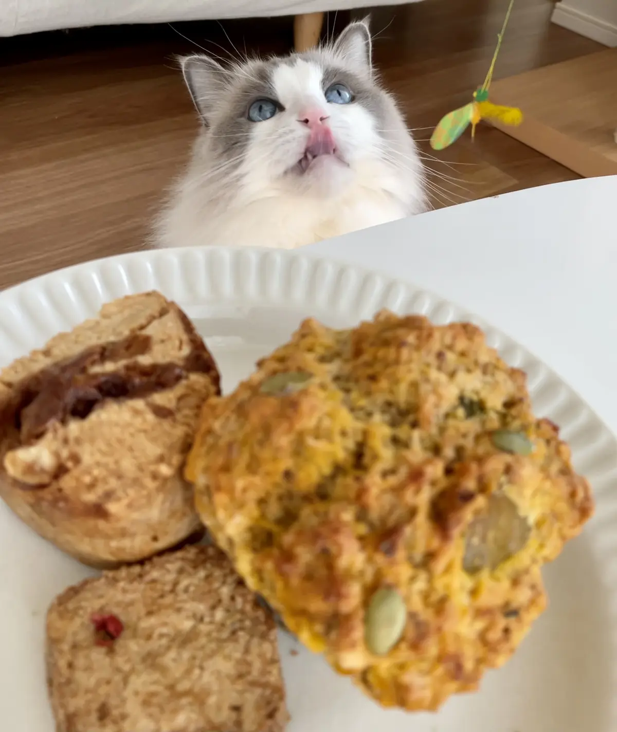 下の子とおやつ