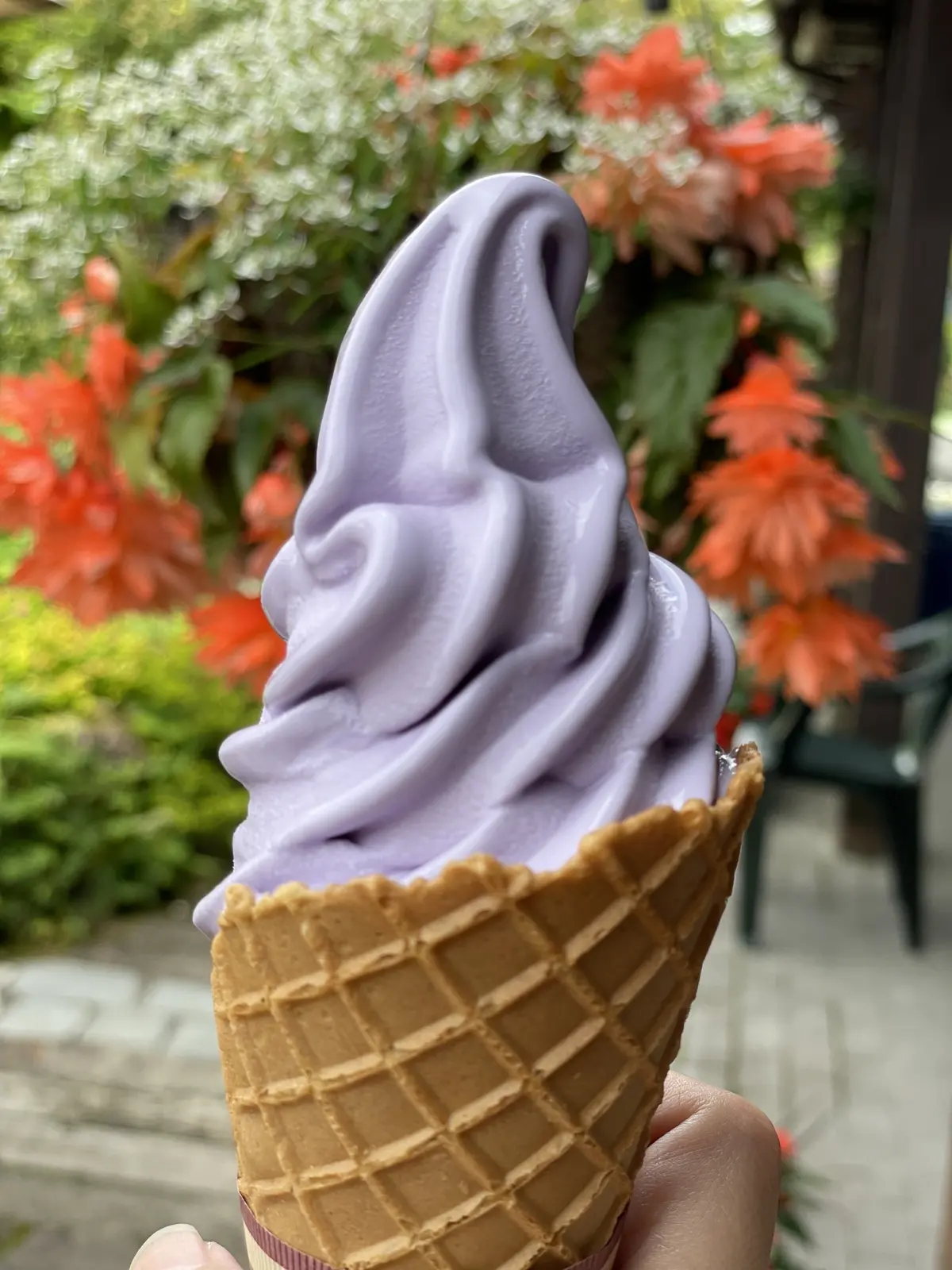 ラベンダーソフトクリーム　溶けてる~