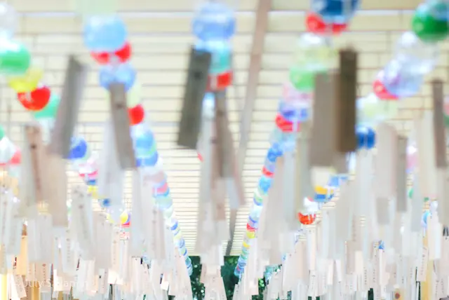 【さかぽんの冒険】風鈴の音と風に癒されての画像_12