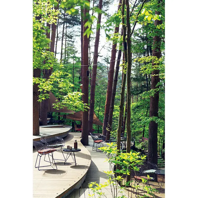 クラウドテラスでは、自由に使えるチェアやハンモックで のんびりして。焚き火ラウンジには、早朝から夜まで炎が灯され る