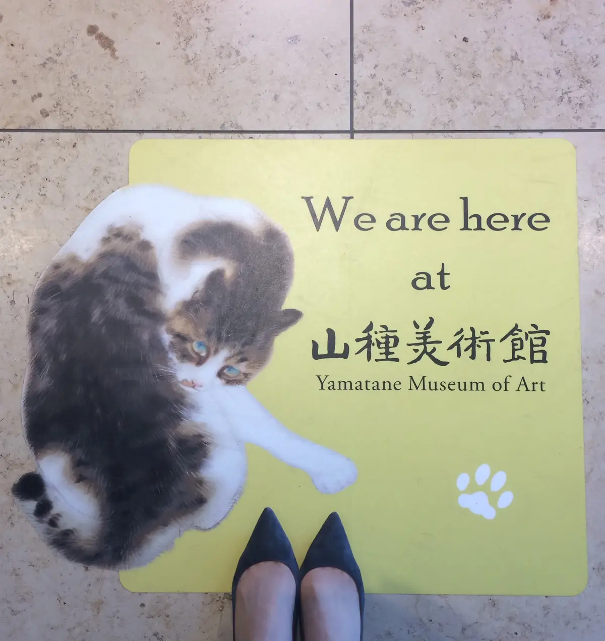 美術館の猫の画像_1