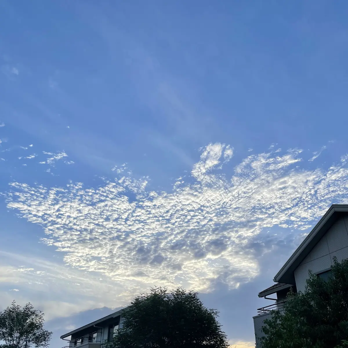 FANTASYな空間…堪能いたしました♡の画像_1