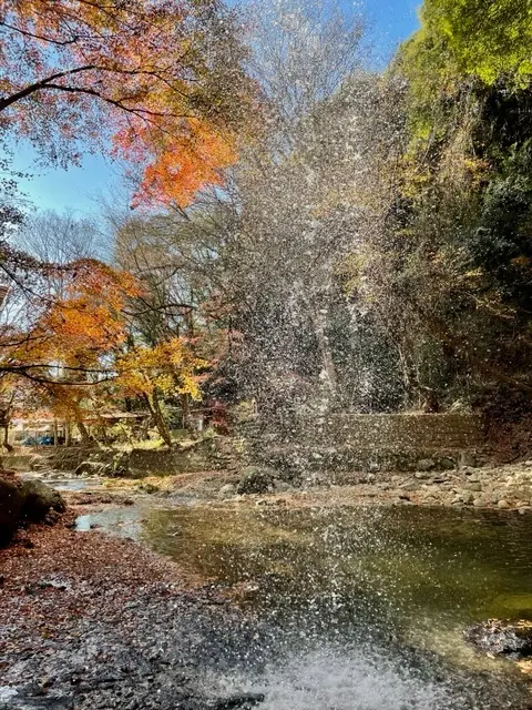 　日帰りバスツアーで絶景スポットへ☆の画像_6