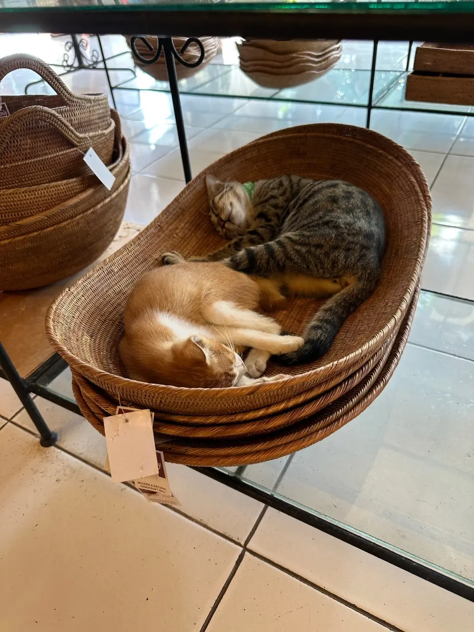 バリ　ウブド　アタ