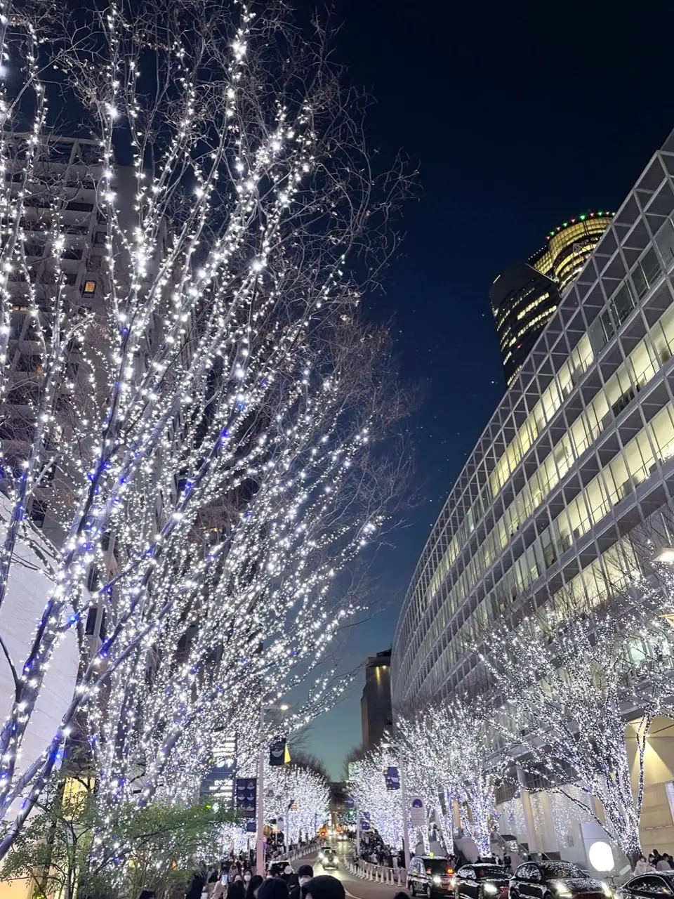 耀くイルミネーションに魅せられての画像_2