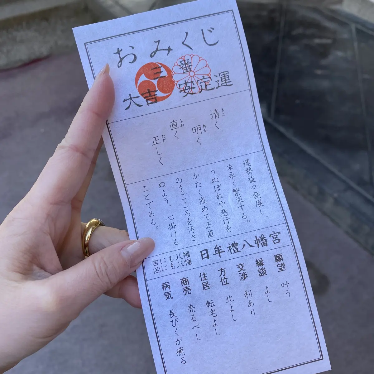 風情ある街並みを散策～近江八幡日帰り旅②の画像_6