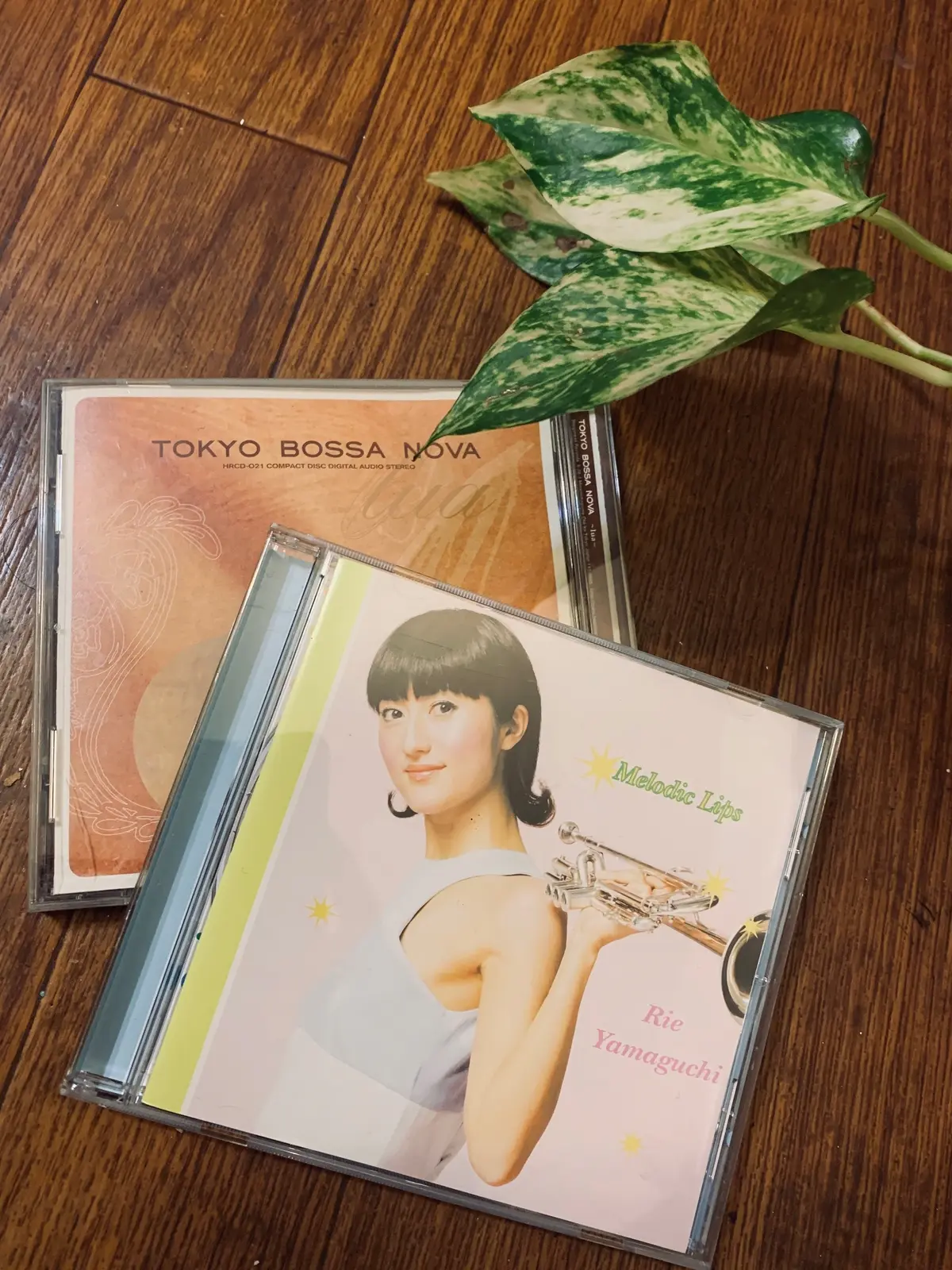 夏はBossa Nova！の画像_3