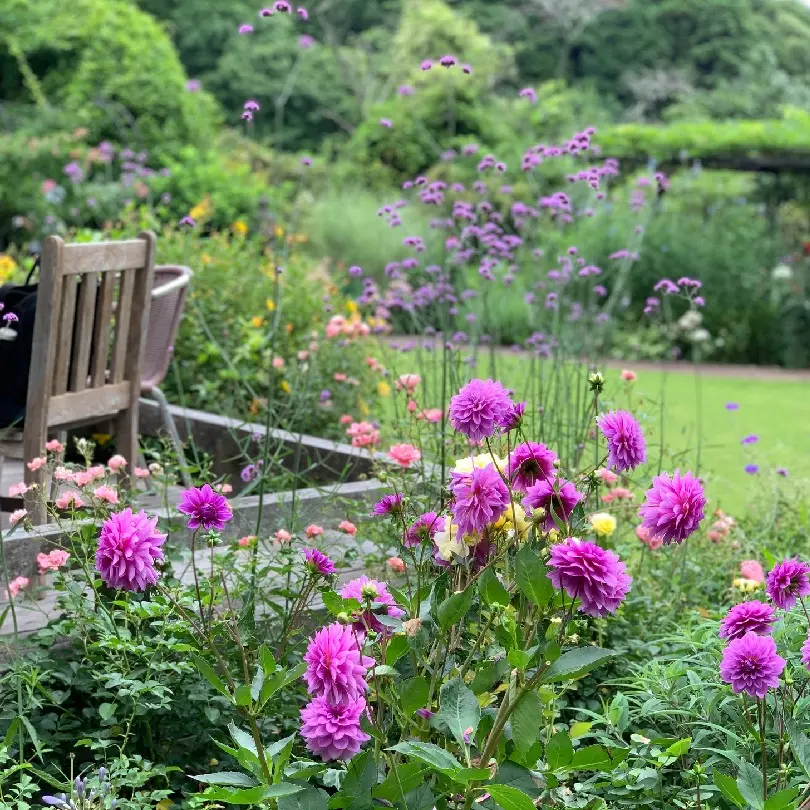 石窯ガーデンテラス