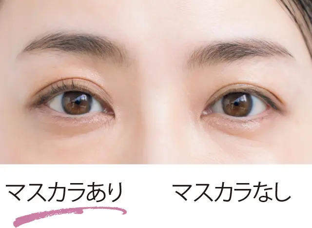 違いは一目瞭然