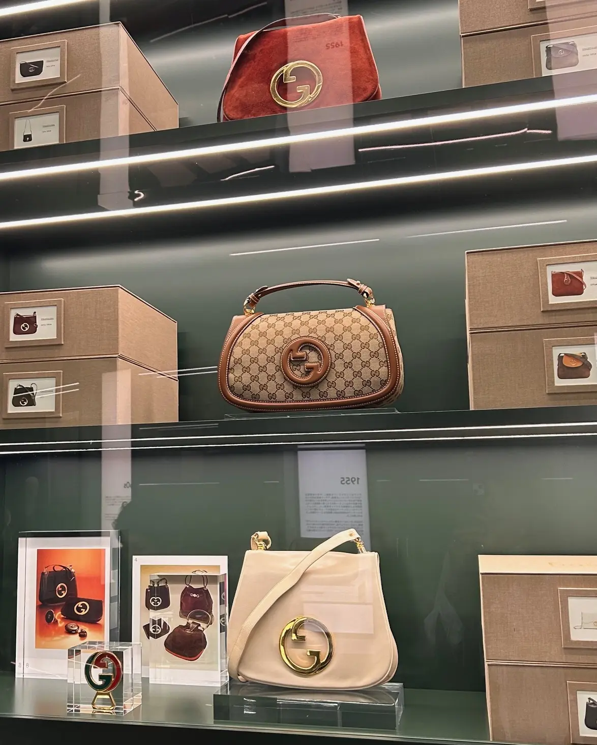 GUCCIワールドに酔いしれた【GUCCの画像_5